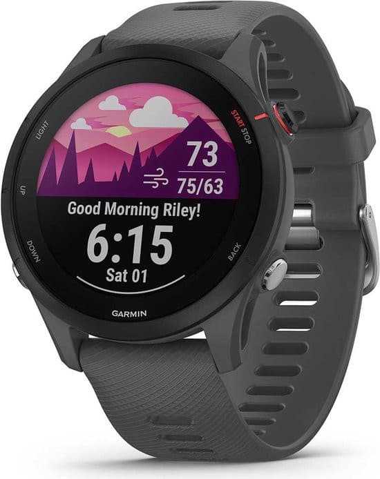 Smartwatch Garmin Forerunner 255 Grise ou Bleue
