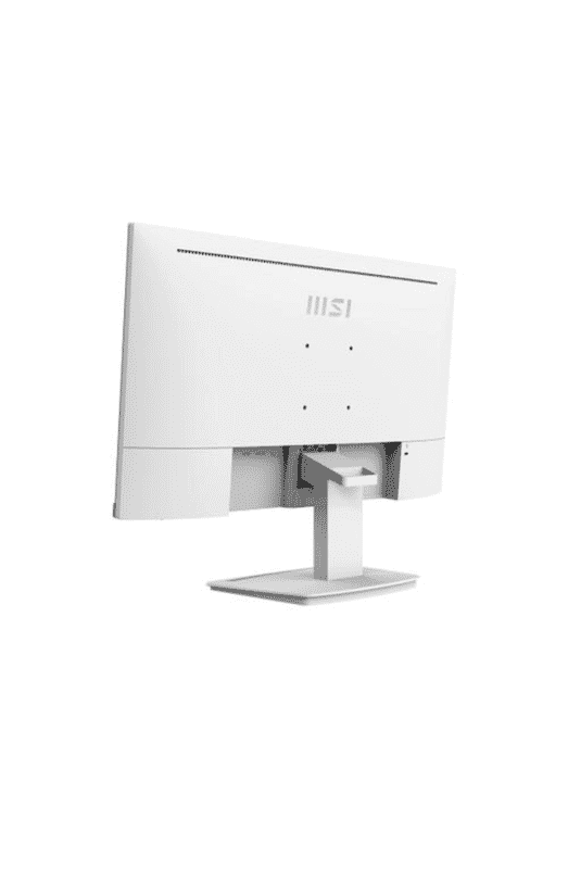 Écran PC 23,8 pouces MSI Pro MP243XW - Fluidité 100Hz, Affichage IPS Full HD