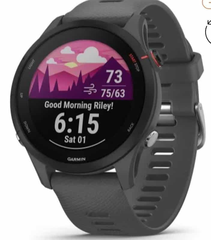 Montre Connectée Garmin Forerunner 255 Basique - Suivez Vos Performances avec Style