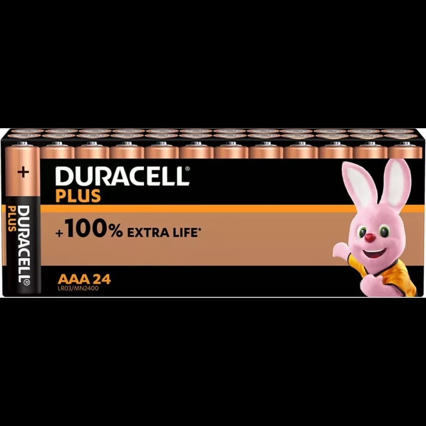 Lot de 24 Piles Duracell Plus AAA