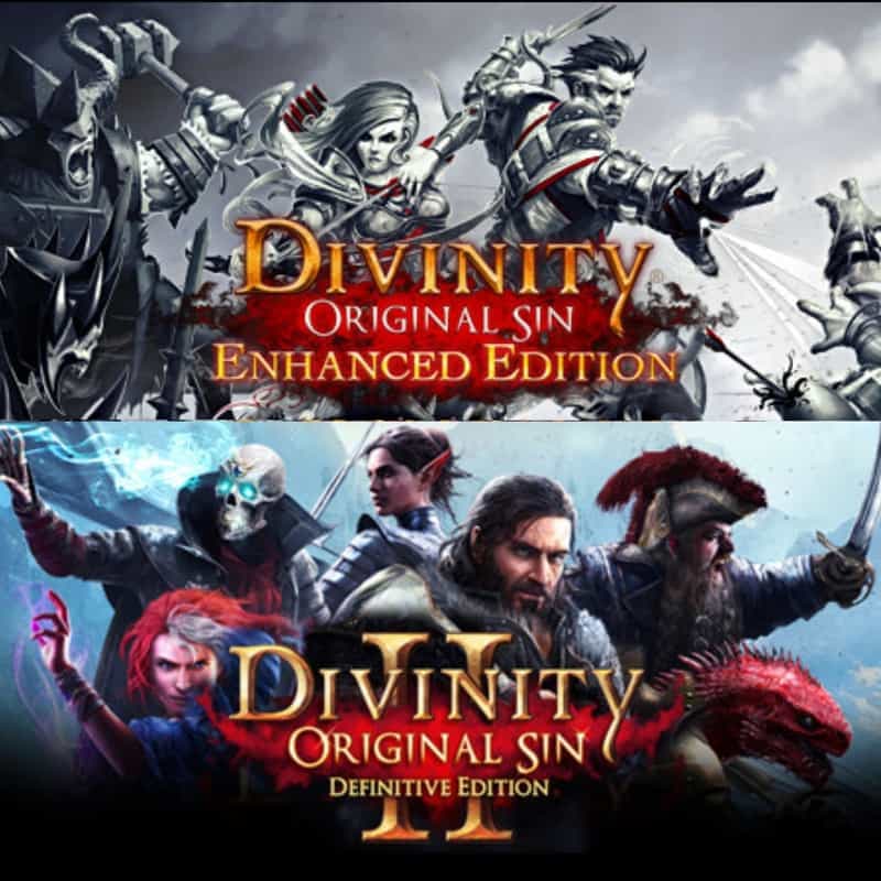 Divinity I & II : Original Sin - L'aventure de la Source sur PC